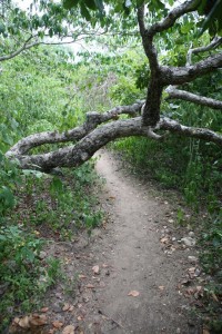 TrekkingpoKomodo (21)