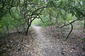 TrekkingpoKomodo (26)