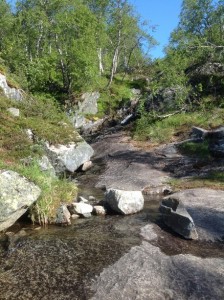 Trolltunga - Język Trolla Norwegia (24)