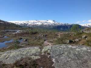 Trolltunga - Język Trolla Norwegia (29)