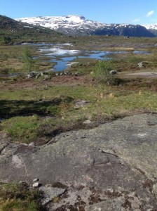 Trolltunga - Język Trolla Norwegia (35)