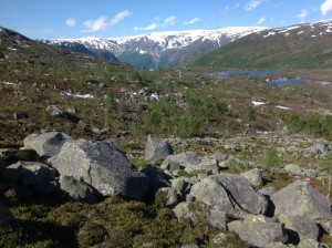 Trolltunga - Język Trolla Norwegia (38)