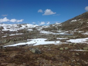 Trolltunga - Język Trolla Norwegia (94)