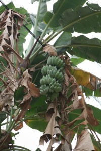 Vang Vieng Laos (44)