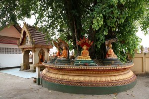 Vientiane (54)