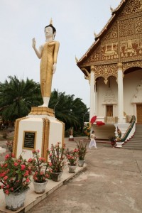 Vientiane (87)