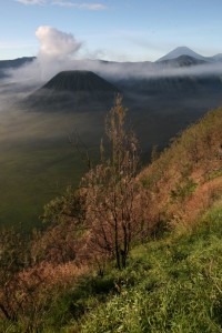 WulkanBromo (29)