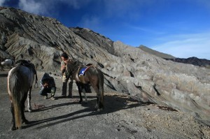 idziemy na Bromo (5)