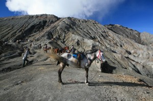 idziemy na Bromo (6)