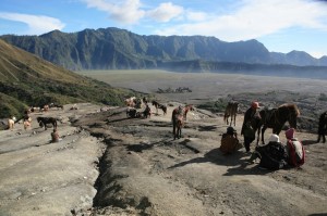 naWulkanieBromo (12)