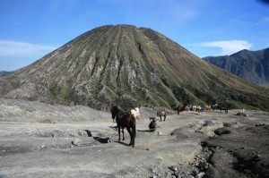 naWulkanieBromo (13)