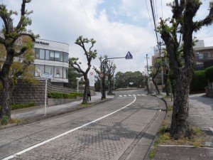 nagasaki (19)