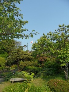 nagasaki (339)