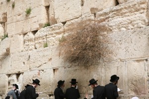 Ściana Płaczu Jerozolima (20)