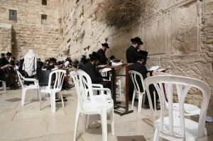 Ściana Płaczu Jerozolima (30)